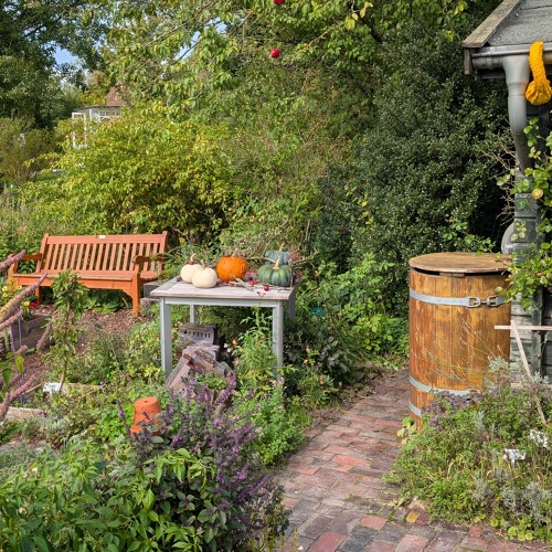 LNG Wochenendseminar „Instandhaltung und Infrastruktur im Kleingartenverein“